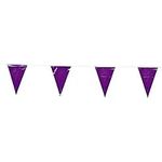 100 Ft Purple Pennant Banner 48 Fla