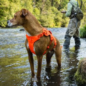 Ruffwear Web Master Dog Harness, Medium – Red