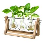 Ivolador Desktop Glass Plants Terrariums Bulb Vase with Retro Solid Wooden Stand and Metal Swivel Holder for Hydroponics Plants Home Garden Wedding Decor Indoor Outdoor (3 Bulb Vase)