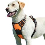 Eagloo Dog Harness No Pull, Walking Pet Harness with 2 Metal Rings and Handle, Adjustable Reflective Breathable Oxford Soft Vest Easy Control Harness for Small Medium Large Dogs, Orange, L