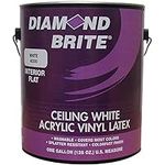 Diamond Brite Paint 42300 1-Gallon 
