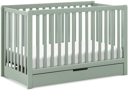 Carter's b