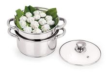Steamer Pot For Wood Stove