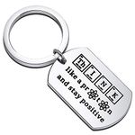 Gzrlyf Chemist Keychain Think like a Proton and Stay Positive Chemistry Gifts for Chemist Chemistry Teacher Graduates Physics Gifts Science Gifts (dog tag keychain)