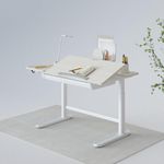 FLEXISPOT Kids Desk Standing Desk Height Adjustable Desk Eletric Standing Desk, Children Desk with Anti-collision and Child Lock Storage and Water Proof, Maple(112×60cm)