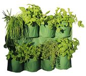 Tierra Garden 50-1070 Haxnicks Herb Wall Planter