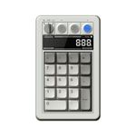 AKNES 8bitdo Retro 18 Mechanical Numpad, 2-in-1 PC numpad and Calculator, Bluetooth/2.4G/Wired Numpad for Windows and Android - M Edition