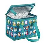 TEAMOOK Folding Lunch Bag Insulated Lunch Box Cool Bag Green Owl 6 cans