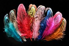 Tigofly 50 pcs/lot 5-10cm Assorted Colors Loose Cock Pheasant Plume Feathers Shoulder Church Windows Fly Tying Materials