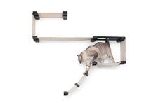CatastrophiCreations Deluxe Cat Playplace - Cat Hammock & Climbing Activity Center - Handcrafted Wall-Mounted Cat Tree Shelves (Onyx/Natural)