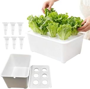 Hydroponics Growing System Kit - 6-Holes Hydroponic Box Kit | Household Planting Box - for Vegetables Flowers Indoor Outdoor Garden Greenhouse Farm Backyard Windowsill Balcony