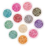 Great Value Set of 12 Containers With Crushed Shells Powders Dusts Manicure Nail Art Decorations By VAGA