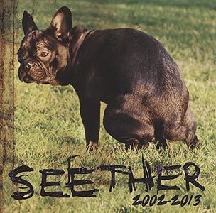 Seether: 2002-13