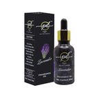 P&D Aroma Essential Oil/Pure, Natural, Undiluted & organic/Aromatherapy/wellness/Diffuser Oil/car freshener / 30 mL (Lavender, Pack Of 2)