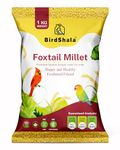BirdShala Premium Foxtail Millet Bird Food, 100% Natural Kangni Seeds, 1 KG Pack, High in Protein and Fiber, Chemical-Free Pet Feed for Small and Wild Birds