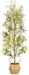 NZQXJXZ Faux Olive Tree 6FT - Indoor Tall Artificial Olive Trees with Planter & Basket and Lights, Artificial Plants with Natural Wood Trunk and Realistic Fruits for Home Living Room Office Decor