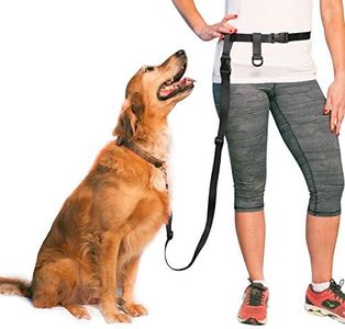The Buddy System Adjustable Hands Free Dog Leash, Great Waist Leash for Running, Jogging and Training Servive Dog Made in USA, Large, Black