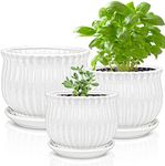 Garden Art Ceramic Pot Set of 3 | 16.3, 14, 11 cm Dia | for All Kind of House Flowering, Succulent Plant | Decorative Pot with Whole and Saucer (White) GA11003-W