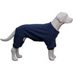 Lovelonglong Dog Onesies Jumpsuits, Lightweight Pet Pajamas Dog Teddy Four Feet Costumes, Cold Weather Warm Dog Pajams for Large Medium Small Dogs Haze-blue XS