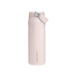 Stanley 1913 Flip Straw Sports Water Bottle with Straw 0.7L - 10 Hours Cold - 3 Days Iced - Stainless Steel - BPA Free - Leak Resistant - Fits in Cup Holder - Dishwasher Safe - Rose Quartz