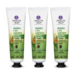 Ayouthveda Moringa & Sea Buckthorn Hand Cream | Soothens, Nourishes & Moisturizes Hands | Reduces Skin Irritation | Non Sticky Cream To Hydrate Dry & Dull Skin (Pack of 3; 30g each)