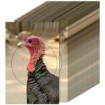 Chivertion 50 Pcs 12 x 18 Inch Paper Turkey Shooting Targets Photo Realistic Small Game Animal Targets Turkey Targets Fun Targets for Shotgun Patterning Pistol Rifle Practice