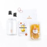 Kombucha Starter Kit for Home Brewing, Includes SCOBY, 1 Gallon Glass Jar, Tea Blend Sachets, Filter and Bands