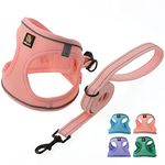 BELLA & PAL Dog Harness with Leash Set, Step in Vest Harness for Small and Medium Dogs, No Pull Harness for Puppy Dogs Medium Dogs, Air Mesh Dog Vest Harness, Pink, XS