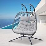 2 Person Hanging Egg Chair with Sta