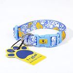 A+a Pets' Collar for Dogs Puppies Cats, Waterproof Soft Nylon Material (Pirate Design, Large, Sky Blue)