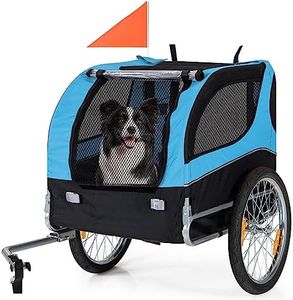 Dog Bicycl