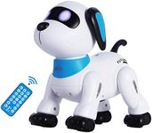 Remote Control Robot Dog Toy, Progr