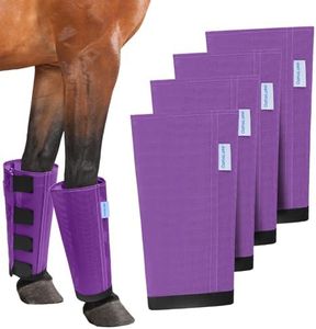 Mesh Horse