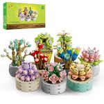 JMBricklayer Flowers Succulents Building Sets for Adults 20104, Botanical Collection Tiny Plants Building Blocks, Flower Bonsai Model for Room Home Office Decor, Flowers Gifts Ideas for Girls Women