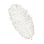 ZUCKER Feather (TM) - Ostrich Feathers-Drabs Selected - White