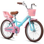 Glerc SASHA 20 Inch Kids Bike for Age 7 8 9 10 11 12 Years Old Girls Retro Vintage Style Children Bicycles with Doll Bike Seat & Stabilisers & Kickstand Blue