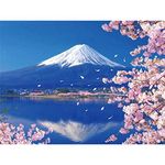 CRAFTMATE Framed DIY Paint by Numbers Canvas Art and Craft Kit for Adults and Kids | Blossoming Mt. Fuji Paint by Numbers Kit | 16 inch x 12 inch