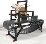 Dog Treadmill: Multi-Functional wit