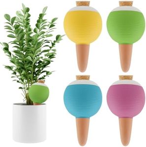 4Pcs Plant