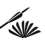 3 Inch Arrow Feather Plastic Fletching Vanes for DIY Archery Hunting Targeting Accessories (Pack of 50)