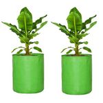 DIYAGREEN Terrace Gardening Fruit Hybrid Trees Grow Bag 18"X18" - Pack Of 2 Green Grow Bag Plants Bags Big Size, 7.87 Inch, 20 cm