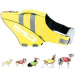 Zooland Dog Life Jacket, Dog Vest Saver Safety Swimsuit Preserver with Adjustable Belt, Small, Yellow