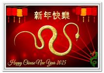 Chinese New Year Card 2025 - Year of the Snake (29th Jan 2025 to 16th Feb 2025) - Beautiful Flowers Red Lanterns - Happy Wishes - Good Luck Greetings Business Friends Family - Creative Unique