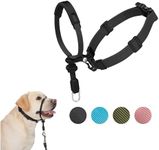 SVD.PET No-Pull Dog Headcollar for Easier Walks, Chew-Proof Protector to Increase Comfort, Simple Design, Easy to Wear and Adjust (Medium Size for Small and Medium Size Dogs)