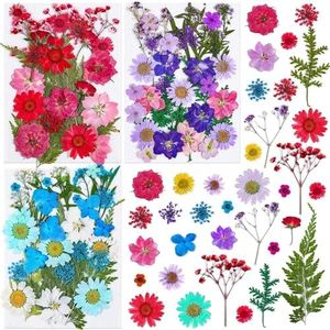 100 PCS Pressed Dried Flowers for Resin Molds, Natural Dried Flower Herbs kit for Scrapbooking Supplies Card Making Supplies Resin Jewelry Making Soap and Candle Making(Blue, Purple, Red)