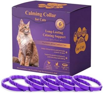 Cat Calmin