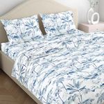 Haus & Kinder 100% Cotton Bedsheet for King Size Bed,186 TC Soft Cotton Bedsheet for Double Bed, King Size Bed Sheet with 2 Pillow Covers,Indigo Palms