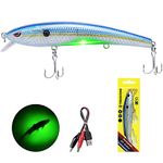 TRUSCEND Fishing Lures Fishing Light Attractant 4.9" Rechargeable LED Minnow Long Casting Slow Sinking Flashing Vibrating Jerking Twitching Lures Freshwater Saltwater Jerkbaits (TM010 (Green Light))