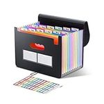 ThinkTex Accordian File Organizer, 