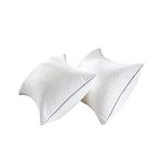 King Size Pillows 2 Pack Bed Pillows for Sleeping - Hotel Pillows for Side Back and Stomach Sleeper, Fluffy Down Alternative Pillow with Super Soft Microfiber Filling, Velvet Fabric